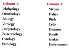 Match the branches of biology in Column A with the respective areas of study in Column B.