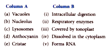 Match the items in column 'A' with those in column 'B'