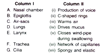 Match the items in Column with those in Column II.