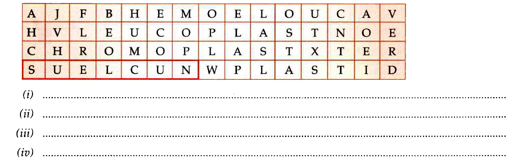 Try to find the names of four cell organelles hidden in this maze. (Hint: The hidden words can appear horizontally or vertically, forward or backward or even mixed up). Write them in the lines provided. For example: