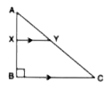 In th given figure, /B=90^(@), XY