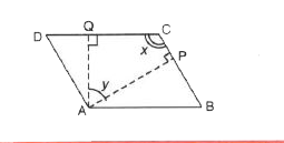 In parallelogram ABCD, AP and AQ are perpendiculars from vertex of obtuse angle A as shown. If anglex: angley= 2:1, find the angles of the parallelogram.
