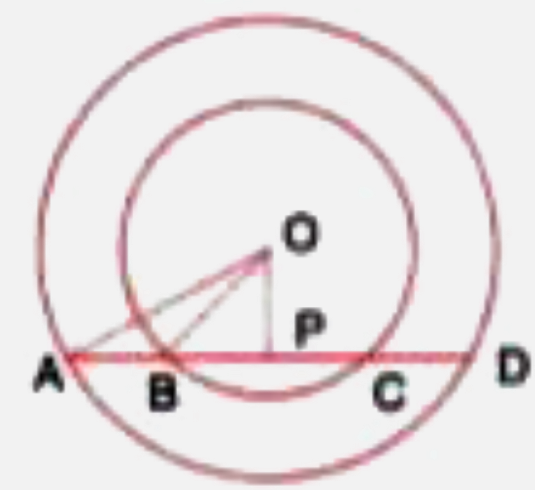In the following figure, AD is a straight line.  OP bot AD and O is the centre of both the circles.  If OA = 34 cm, OB = 20 cm and OP = 16 cm, find the length of AB.