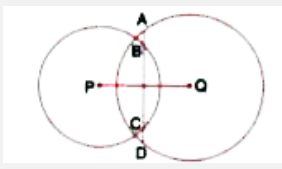 In the following figure, the line ABCD is perpendicular to PQ, where P and Q are the centres of the circles. Show that :        AC=BD