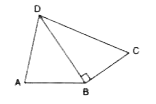 Find the area and the perimeter of quadrilateral ABCD,  given below, if,  AB = 8 cm, AD = 10 cm, BD = 12 cm, DC 13 cm and angleDBC=90^(@).