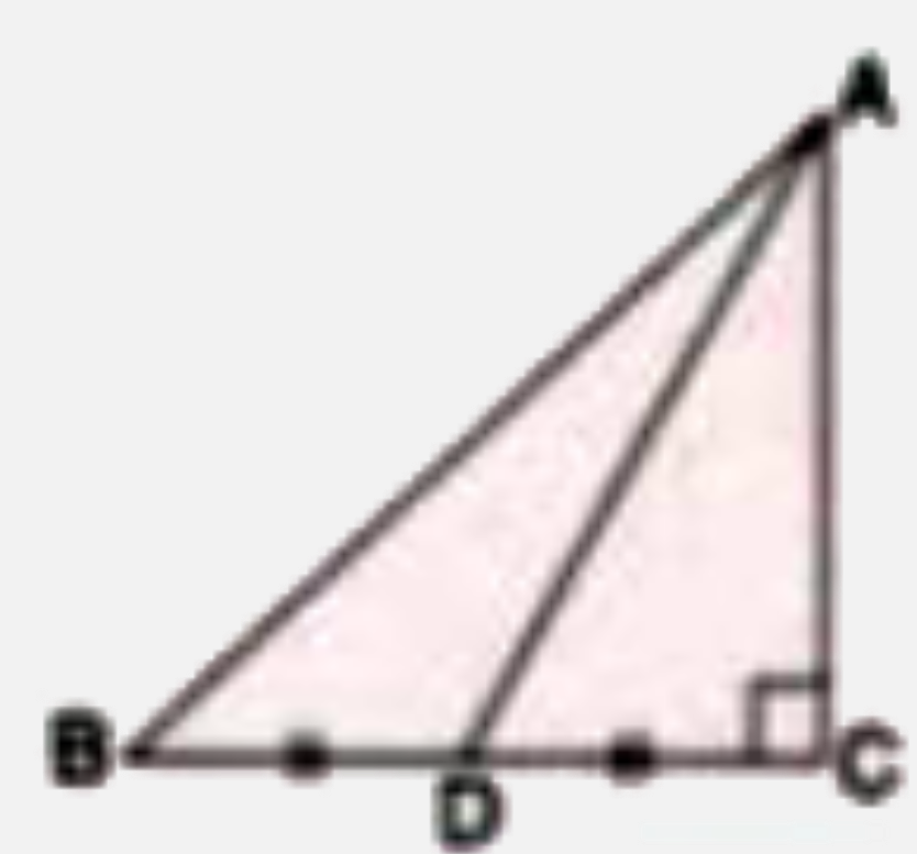 In the given figure , angleC = 90^@ and BD = DC  Find :      (cotangleDAC)/(cotangleBAC)