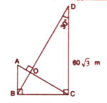 In the given figure, AB bot BC, DC bot BC, BD bot AC, angle D = 30^(@)  and DC = 60 sqrt3 m. Find the length of AB.