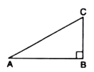 The given figure shows a right triangle  right angled at B .   If  angle BCA = 2 angle BAC,  show that  AC = 2BC