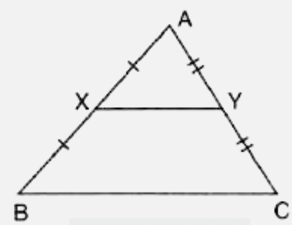 In the figure, given below X and Y are the mid-points of AB and AC respectively. Given that BC = 6 cm, AB = 5-4 cm and AC = 5-0 cm, calculate the perimeter of trapezium YXBC.