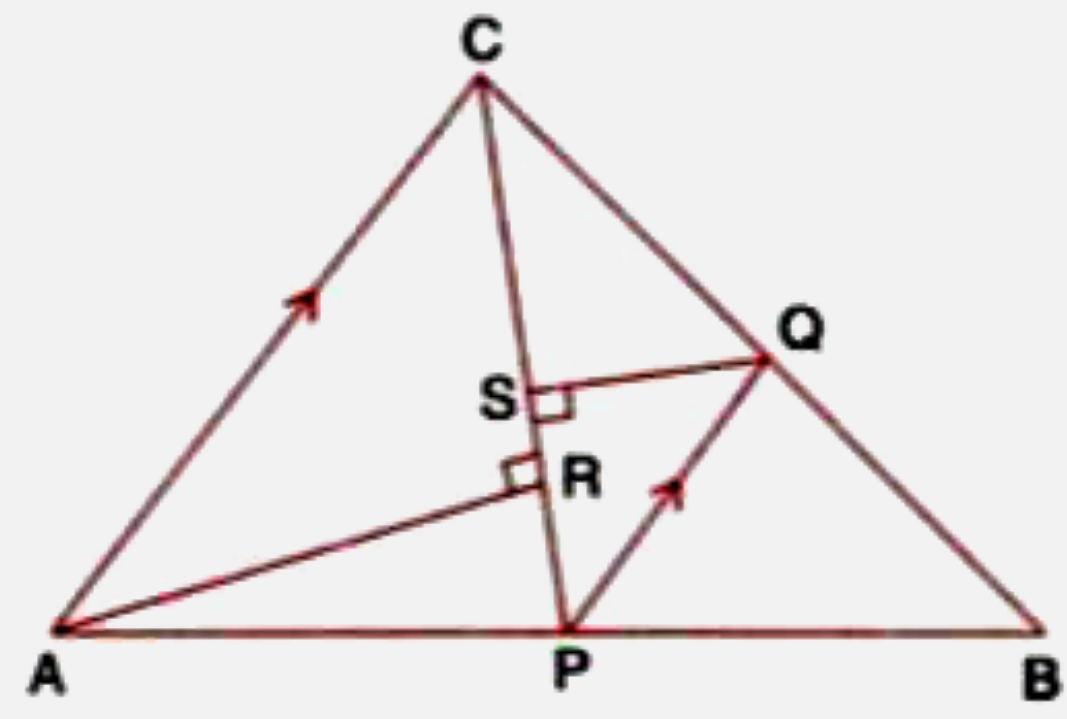 In the given figure, P is a point on AB such that AP : PB = 4: 3. PQ is parallel to AC.     In triangle ARC, /ARC = 90^@ and in triangle PQS,, /PSQ = 90^@. Given QS = 6 cm, calculate the length of AR.