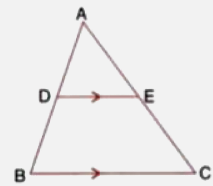 In the following figure, point D divides AB in the ratio 3: 5. Find :     Also, if:   DE = 24 cm, find the length of BC.