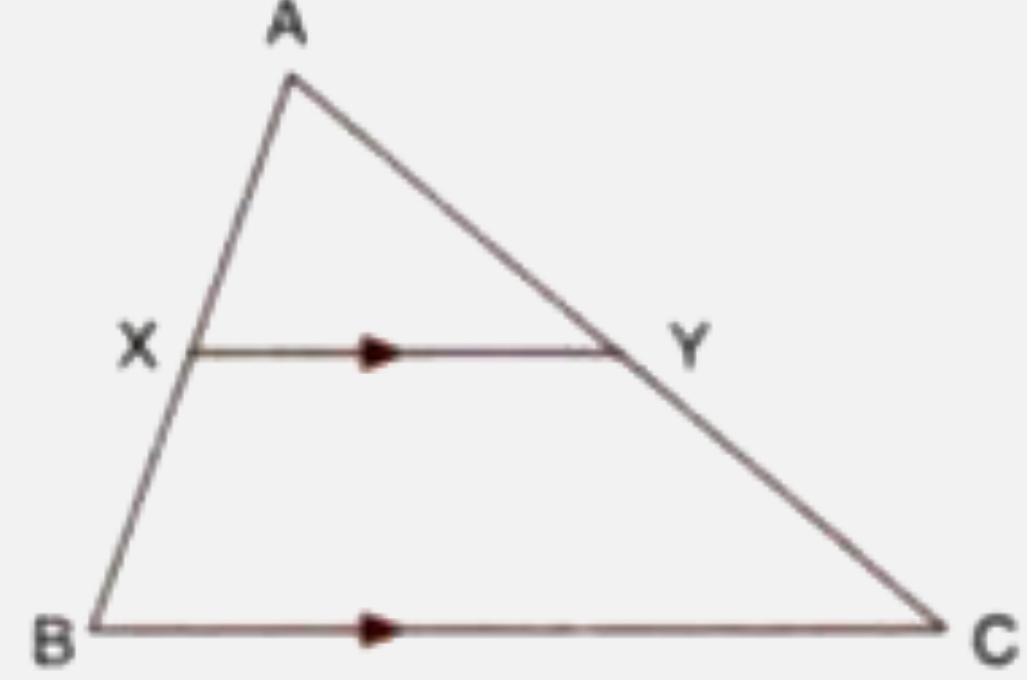 In the given figure, AX : XB = 3:5      Find :   the length of BC, if the length of XY is 18 cm.