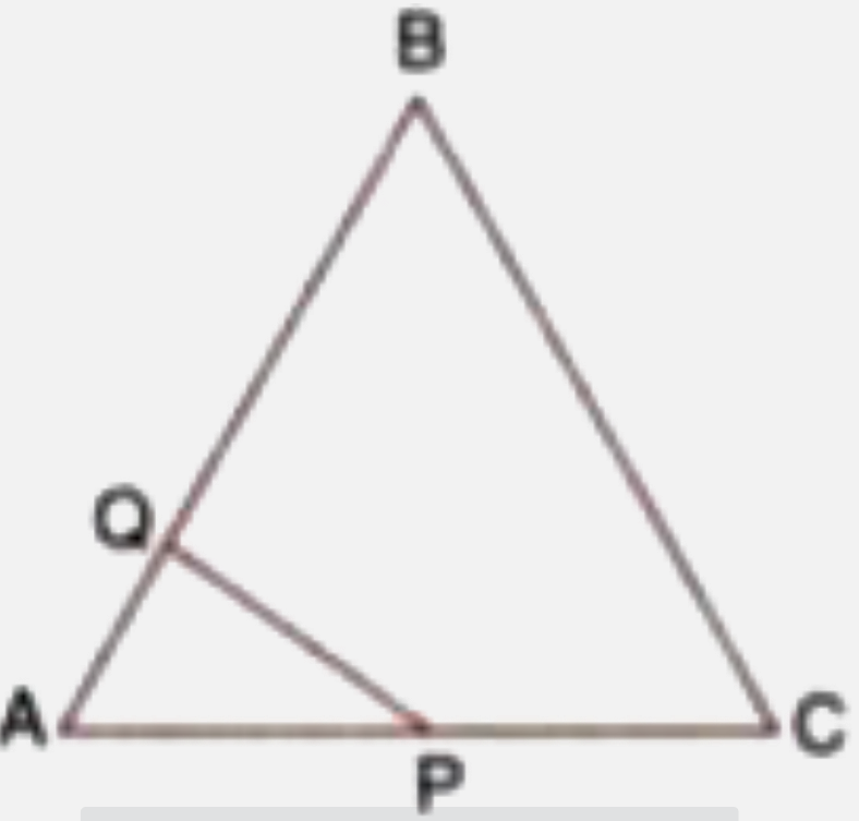 The given diagram shows two isosceles triangles which are similar. In the given diagram, PQ and BC are not parallel, PC = 4, AQ = 3, QB = 12, BC = 15 and AP = PQ. Calculate :      the ratio of the areas of triangle APQ and triangle ABC.