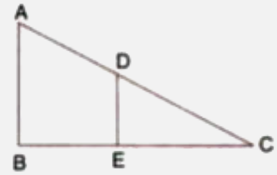 In the given figure, AB and DE are perpendiculars to BC     Prove that : DetlaABC ~ DeltaDEC