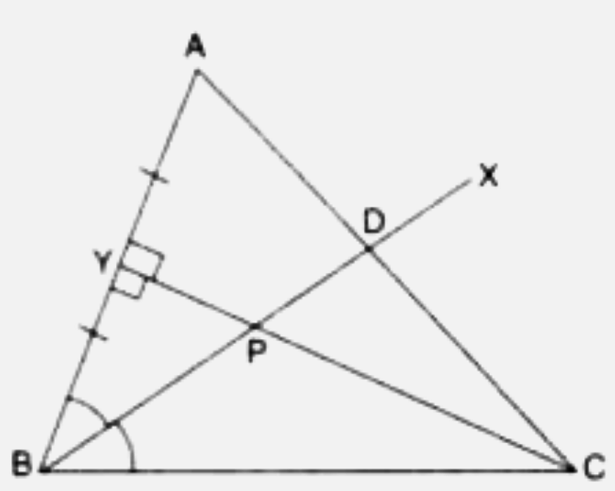 In the figure, BX bisects angle ABC and intersects AC at point D. Line segment CY is perpendicular to AB and intersects BX at point P. If Y is mid-point of AB, prove that :        point D is equidistant from AB and BC.