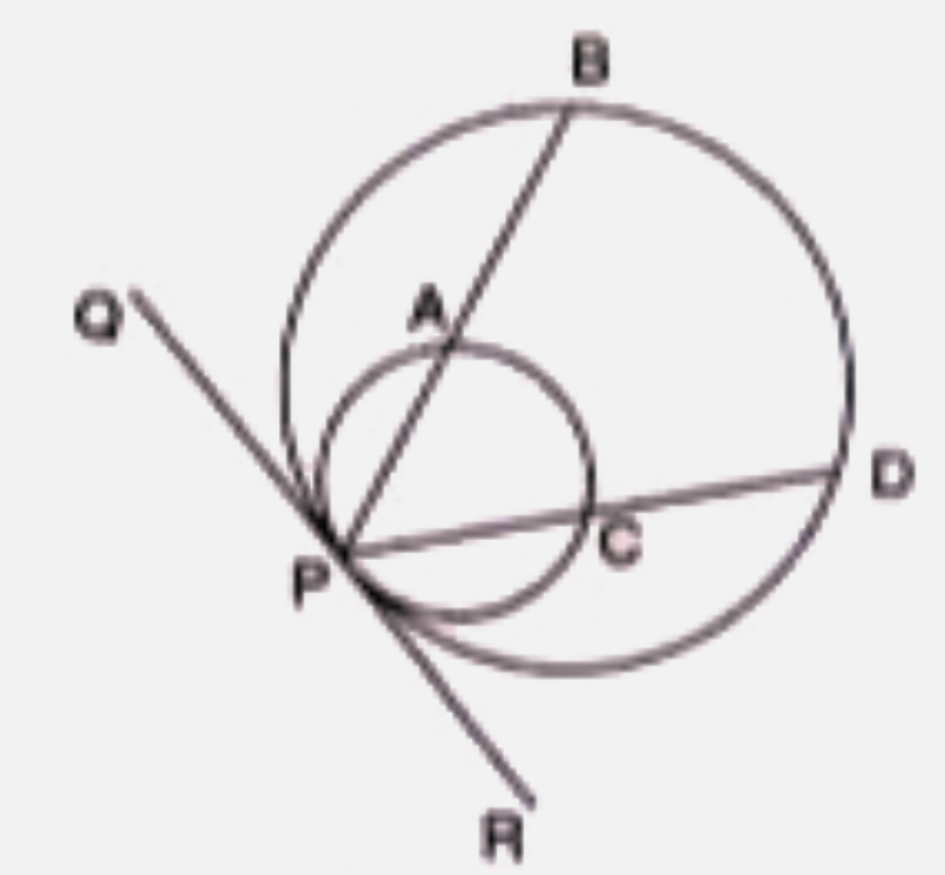 Two circles touch each other internally at point P. QPR is the tangent at P, segments PAB and PCD meet circles at points, A,B,C and D as shown in the figure.   Show that chord AC is parallel to chord BD.
