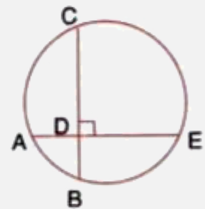 In the given figure, AE and BC intersect each other at point D.   If /CDE=90^(@),AB=5cm,BD=4 and CD=9 find AE