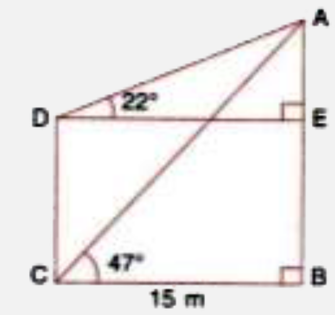 From the figure, given below . calculate the length of CD