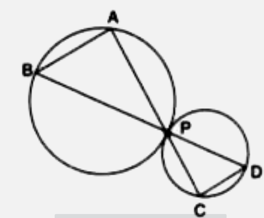 Two circles touch each other extermally at point P. APC and BPD are straight lines. Show that :     Delta PAB and Delta PCD are similar