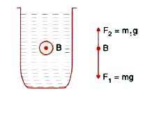 A small stone of mass m(=200g) is held under water in a jar and is allowed to fall as shown in fig. the forces acting on stone are also shown.     (i) What does F(2) represent  ?   (ii) What does m(1) represent?   (iii) What is the net force acting on stone?   (iv) What is the acceleration of stone as it falls through water? Neglect the force due to viscosity. Assume that the volume of stone   =80cm^(3), density of water =1.0gcm^(-3) and acceleration due to gravity g=10ms^(-2)