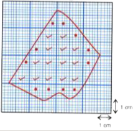 The boundary line of an irregular lamina, on a graph paper is shown in Fig.  Find the approximate area of the lamina. In Fig. , the number of complete squares = 14      The number of squares more than half = 11