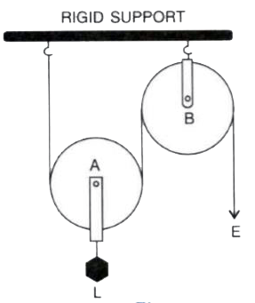 The diagram alongside shows a pulley arrangement.   (a) Name the pulleys A and B.   (b) In the diagram, mark the direction of tension on each strand of string.   (c) What is the purpose of the pulley B?   (d) If the tension is T, deduce the relation between    T and E    (e) What is the velocity ratio of the arrangement ?   (f) Assuming that the efficiency of the system is 100%, what is the mechanical advantage ?