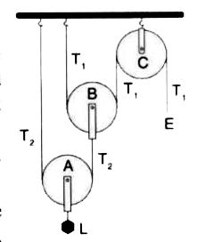 The diagram alongside shows an arrangement of three pulleys A,B and C. the load is marked as L and the effort as E.   (a) Name the pulleys A,B and C.   (b) Mark in the diagram the directions of load (L), effort (E) and tension T1 and T(2) in the two strings.   (c) How are the magnitudes of L and E related to the tension T(1) ?   (d) Calculate mechanical advantage and velocity ratio of the arrangement.   (e) What assumptions have you made in parts (c) and (d) ?
