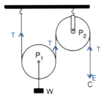 The diagram in Figure shows the combination of two pulleys P(1) and P(2) used to lift up a load W.   (a) State the kind of pulleys P(1) and P(2).   (b) State the function of the pulley P(2).   (c) If the free end C of the string moves througha  distance x, by what distance is the load W raised ?   (d) What effort E has to be applied at C to just raise the load W=20 kgf ? Neglect both the weight of the pulley P(1) and friction.