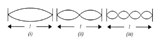 The diagram in Fig. shows three ways in which a string of length I in an instrument can vibrate.       What is the ratio of frequency of vibrations in diagrams (i) and (ii) ?