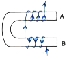 Fig.  shows the current flowing in the coil of wire wound around the soft iron horse shoe core.      How will the polarity at the ends A and B change on reversing the direction of current