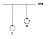 Two pendulums C and D are suspended from a wire as shown in the figure given below. Pendulum C is made to oscillate by displacing it from its mean position. It is seen that D also starts oscillating.    Name the type of oscillation, C will execute.