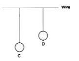 Two pendulums C and D are suspended from a wire as shown in the figure given below. Pendulum C is made to oscillate by displacing it from its mean position. It is seen that D also starts oscillating.     Name the type of oscillation, D will execute.
