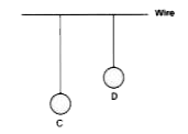 Two pendulums C and D are suspended from a wire as shown in the figure given below. Pendulum C is made to oscillate by displacing it from its mean position. It is seen that D also starts oscillating.     What is the name of the phenomenon when the length of D is made equal to C ?