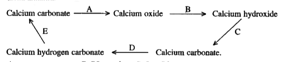 Write equation for each conversion A to E.