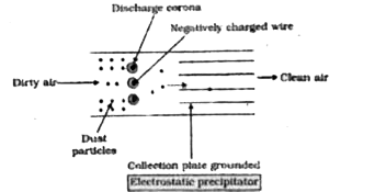 ocr_image