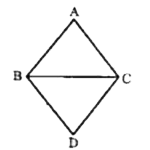 दिए गए चित्र में, एक ही आधार BC पर दो त्रिभुज ABC तथा DBC इस प्रकार हैं कि AB = AC, DB = DC, तो निम्तलिखित में कौन सत्य है?