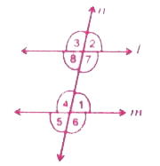 चित्र में  l, m समांतर रेखाएँ है जिसको तिर्यक रेखा प्रतिच्छेद  करती है तो   angle3 और angle4 ………  कोणों के युग्म है