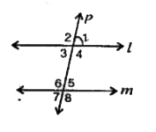 संलग्न आकृति  में l||m  तथा p उनको प्रतिच्छेद करती है तो रिक्त स्थान को भरें :       यदि angle1 = 80^(@)  तो angle5  = ………….