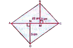 चतुर्भुज ABCD का क्षेत्रफल ज्ञात कीजिए । यहाँ AC= 22 cm, BM = 3 cm, DN = 3 cm  और BM |AC, DN | AC.