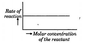 The following graph is obtained when we plot rate of reaction verus molar concertration of the reactant. What is the order of the reaction that is evident from the graph?