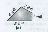 दी हुई आकृतियों का परिमाप ज्ञात कीजिएः