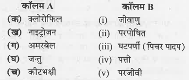 काॅलम  में दिए गए शब्दों का मिलान काॅलम   के शब्दों से कीजिएः