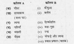 काॅलम A में दिए गए शब्दों का काॅलम B के साथ मिलान कीजिएः