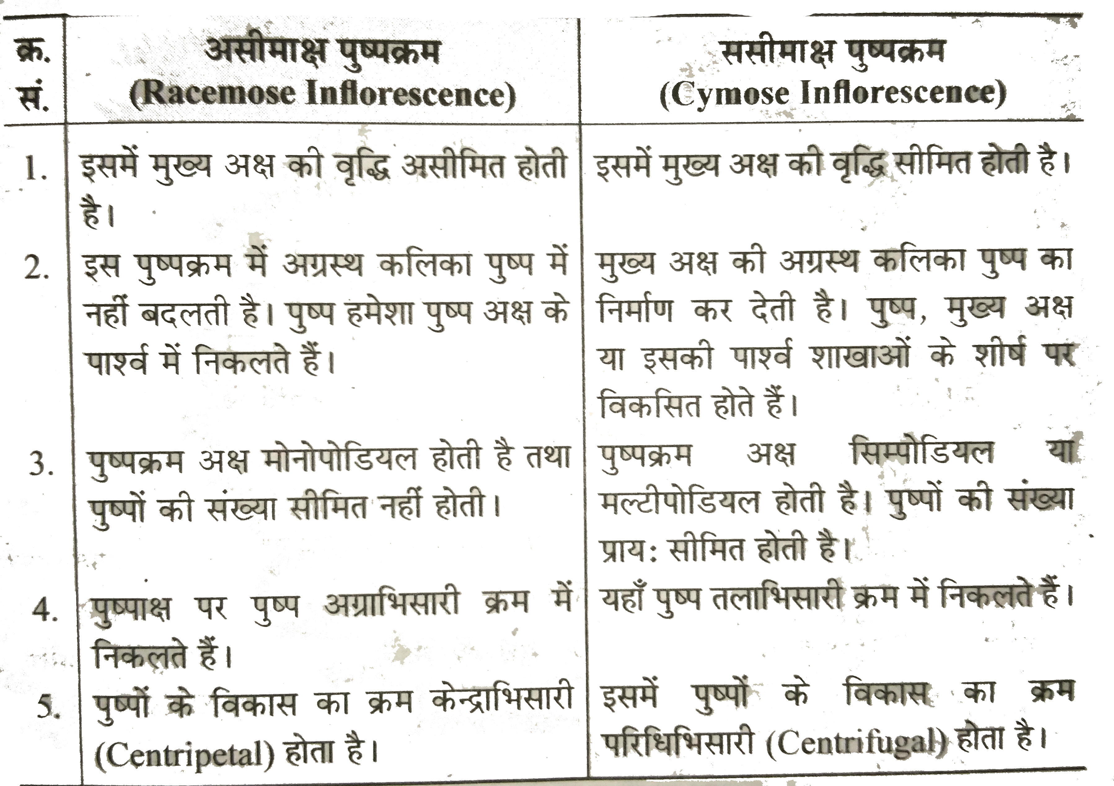 ocr_image