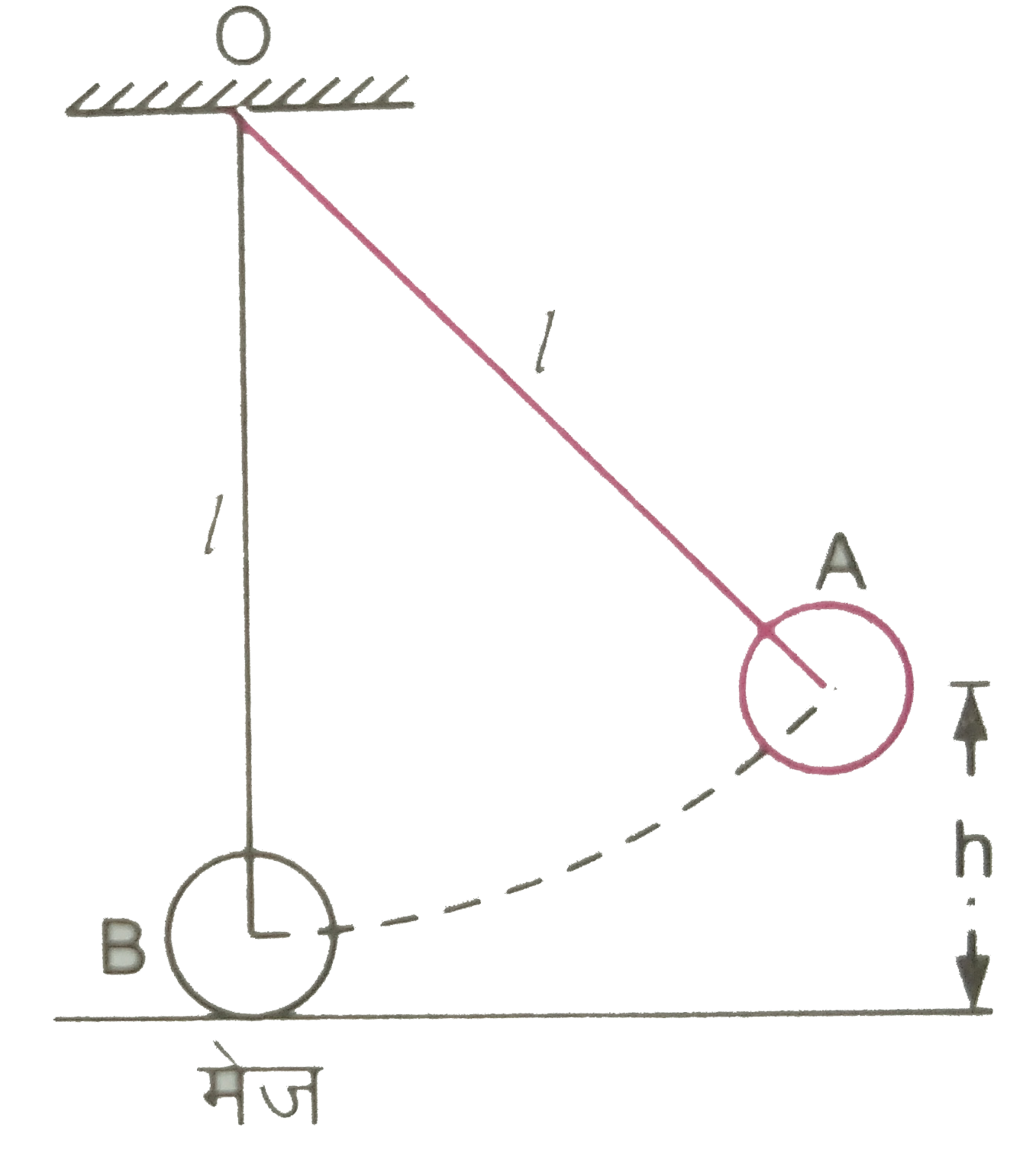 चित्र 7.32 में द्रव्यमान m की एक गेंद B, किसी आधार O से लम्बाई l के धागे में बाँधकर मेज पर रखी है तथा उसी आधार से लम्बाई का तथा समान द्रव्यमान m का गोलक वाला एक सरल लोलक प्रारम्भ में मेज से ऊँचाई h पर विस्थापित स्थिति A पर प्रदर्शित है | अब यदि लोलक को छोड़ दिया जाता है तो संघट्ट के पश्चात गेंद B कितनी ऊँचाई तक ऊपर जाएगी ? संघट्ट को प्रत्यास्थ मानिए |