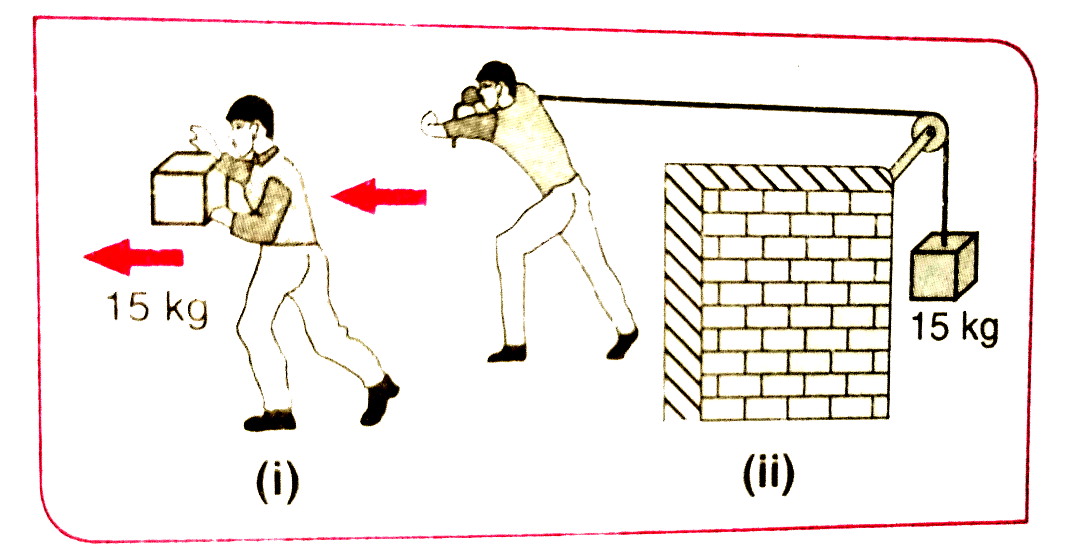 निम्नलिखित का उत्तर दीजिए -   ( d ) चित्र ( i ) में एक व्यक्ति अपने हाथों में 15 kg का कोई द्रव्यमान लेकर 2m चलता है । चित्र ( ii ) में वह उतनी ही दूरी अपने पीछे रस्सी को खींचते हुए चलता है । रस्सी घिरनी पर चढ़ी हुई है और उसके दूसरे सिरे पर 15 kg का द्रव्यमान लटका हुआ है । परिकलन कीजिए कि किस स्थिति में किया गया कार्य अधिक है ?