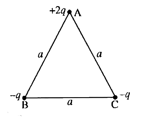 a. भुजा वाले समबाहु त्रिभुज ABC के शीर्षों पर तीन आवेशों +2q,-q तथा -q को क्रमशः A,B एवं C पर चित्र के अनुसार रखा गया है। इस निकाय का द्विध्रुव आघूर्ण ज्ञात कीजिए।