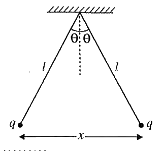 दो समान छोटी गेंदें, प्रत्येक का द्रव्यमान m तथा प्रत्येक पर आवेश q सिल्क के धागों से (प्रत्येक धागे की लम्बाई l) चित्र के अनुसार लटकाई  गई है। इनके मध्य दूरी x और धागों के मध्य कोण (2 theta=10^(@)) है। तब साम्यावस्था की स्थिति में दूरी x का मान ज्ञात करो।
