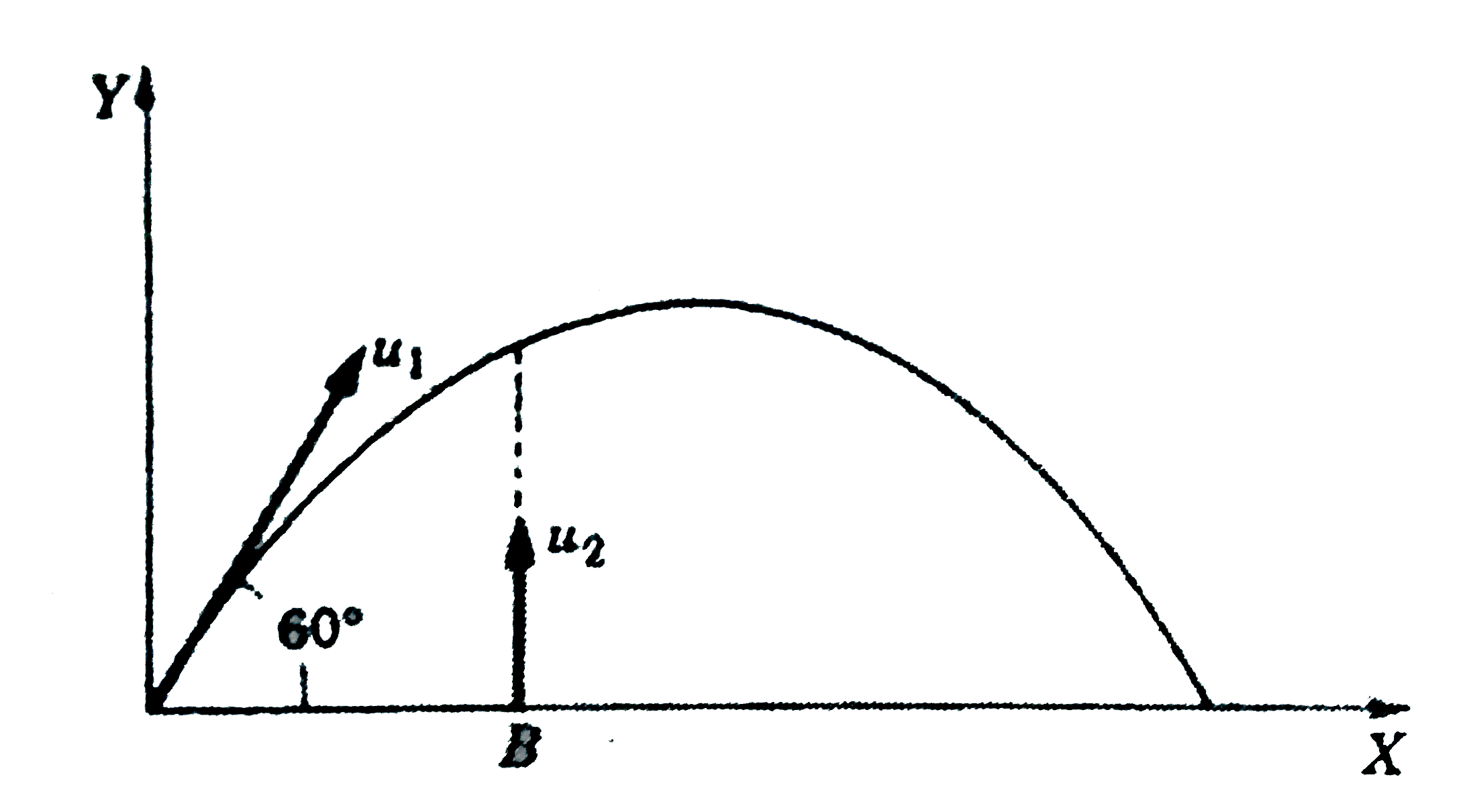 As shown in Fig. 5.29, a body is projected with velocity u(1) from the point A. At the same time another body is projected vertically upwards with velocity u(2) from the point B. What should be the value of u(1)//u(2) for both the bodies to collide ?