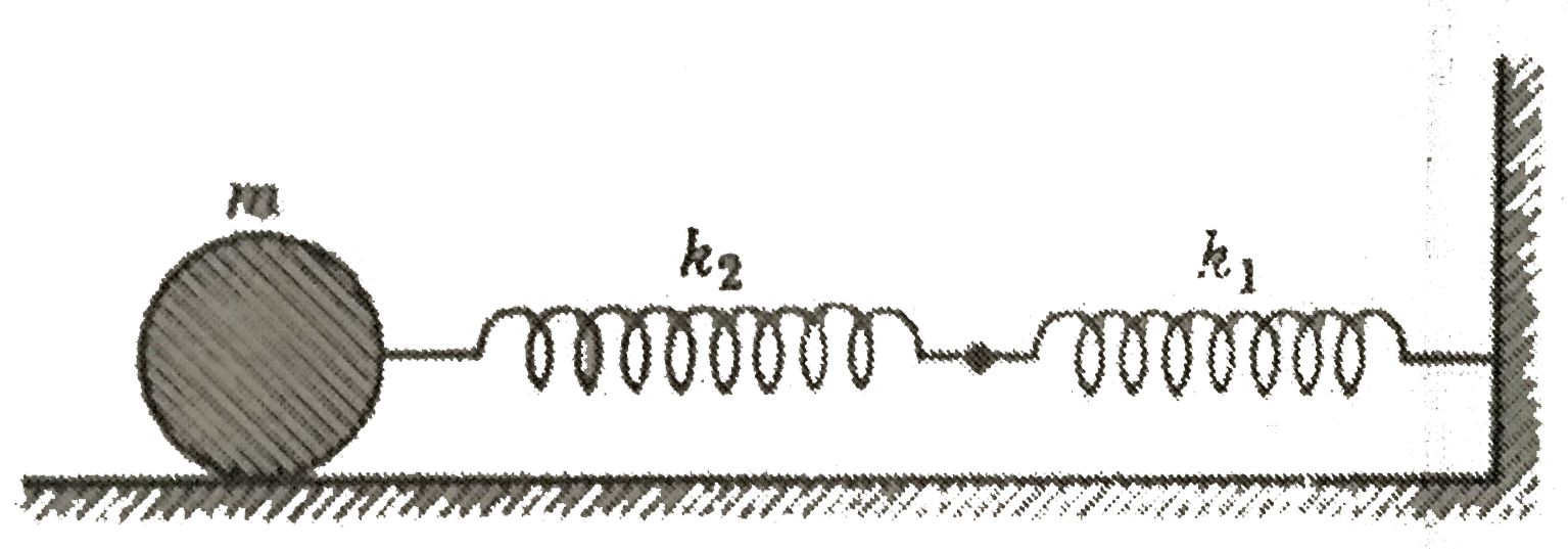 Two springs are jonied and connected to a mass m as shown in figure. If the force constants of the two springs are k(1) and k(2), shown that frequency of oscillation of mass m is